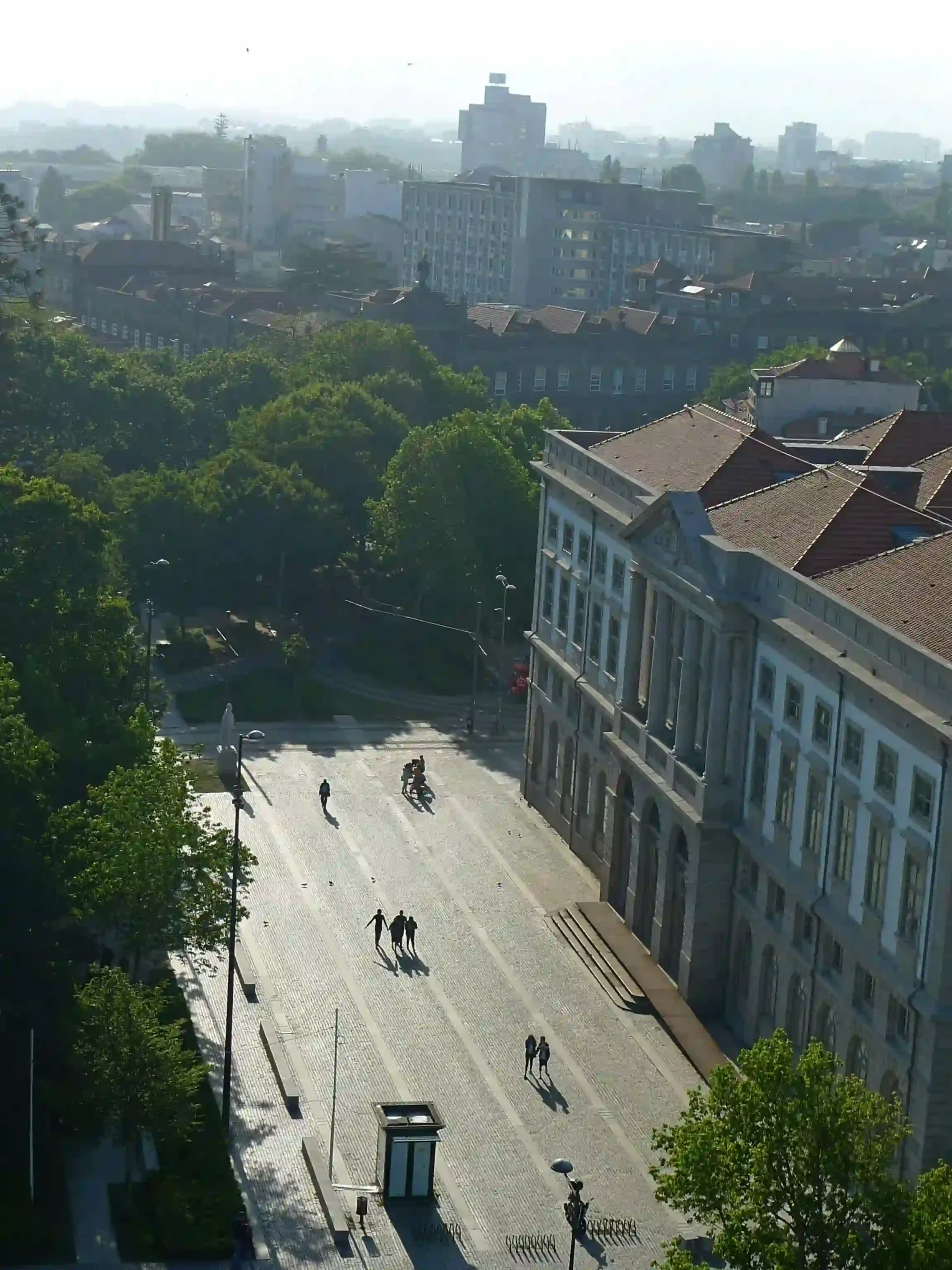 2026留德工作路径：德国机会卡 vs 求职签证